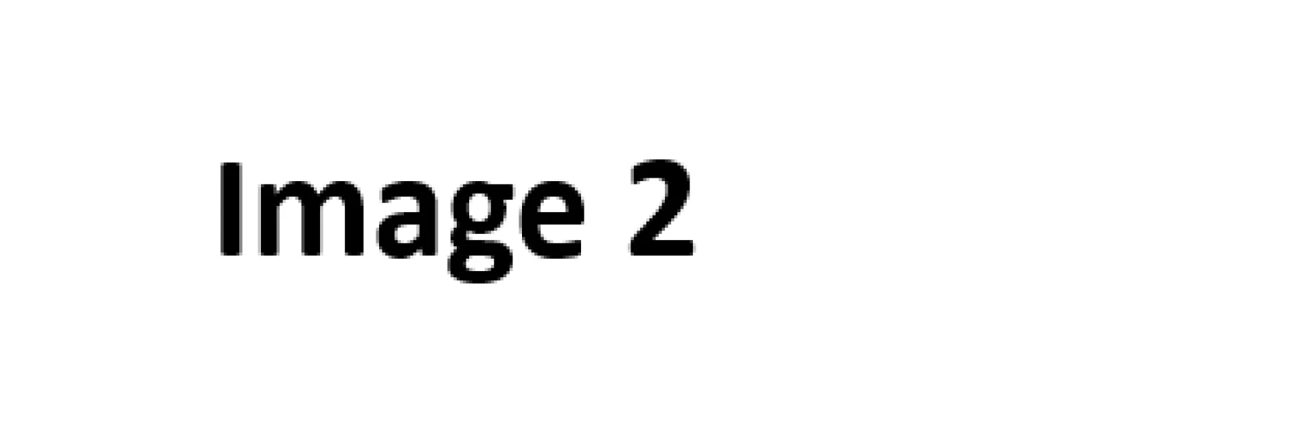 Ologies: The Science of
Anthropology and Paleontology